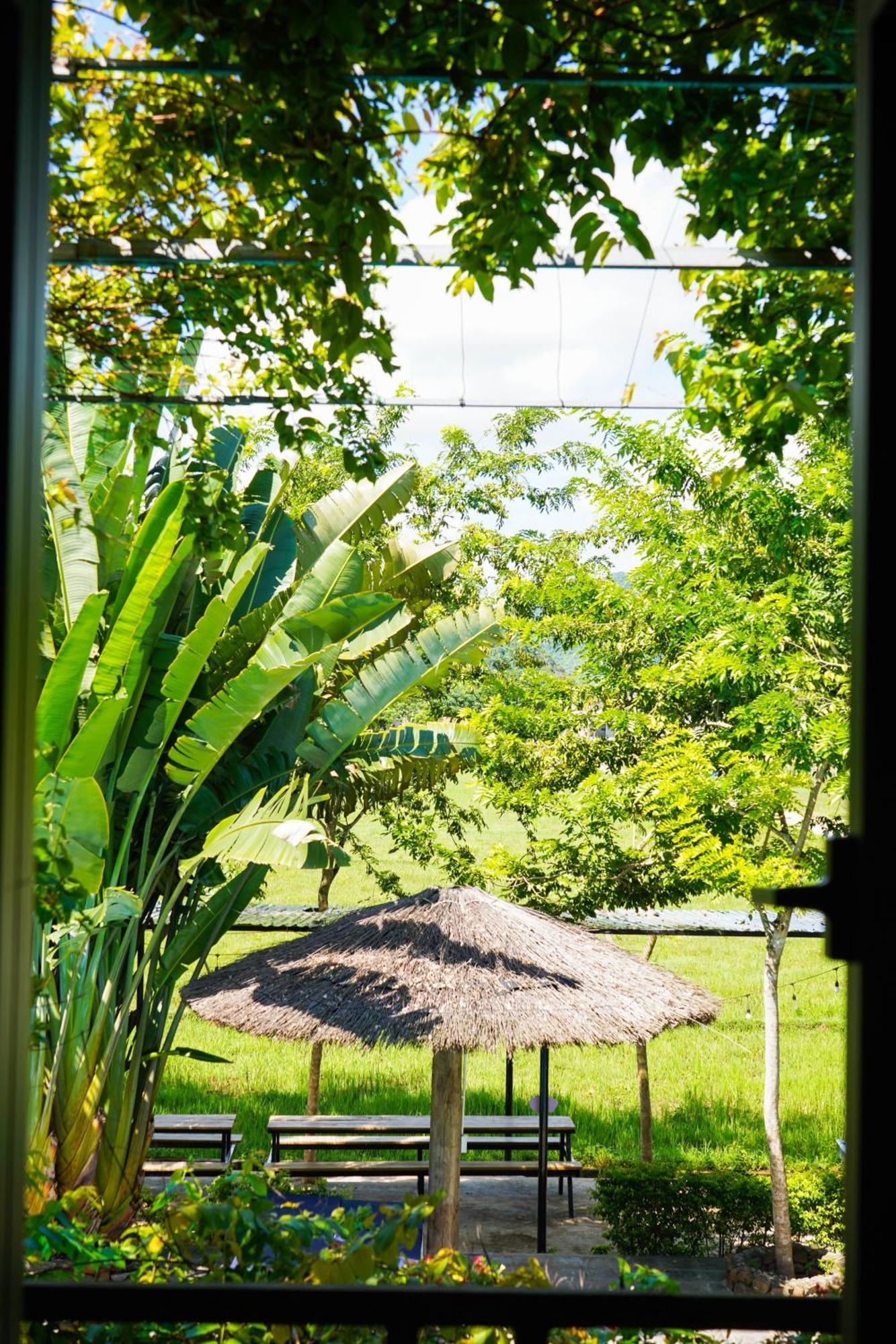 Jungle Boss Travel Lodge Фонг Нха Екстериор снимка
